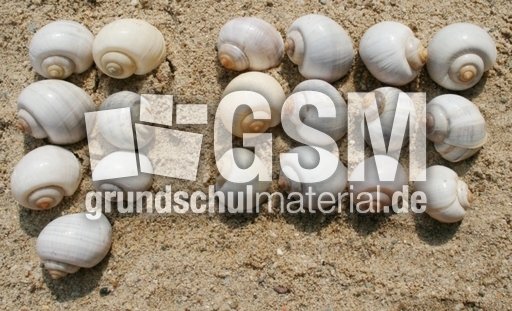 Schneckenhäuser-7+12.jpg
